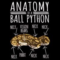 Python Snake Owner Anatomy Of A Ball Python Premium T-Shirt