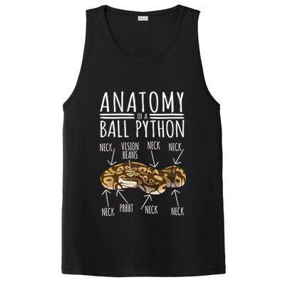 Python Snake Owner Anatomy Of A Ball Python PosiCharge Competitor Tank