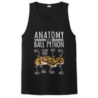 Python Snake Owner Anatomy Of A Ball Python PosiCharge Competitor Tank