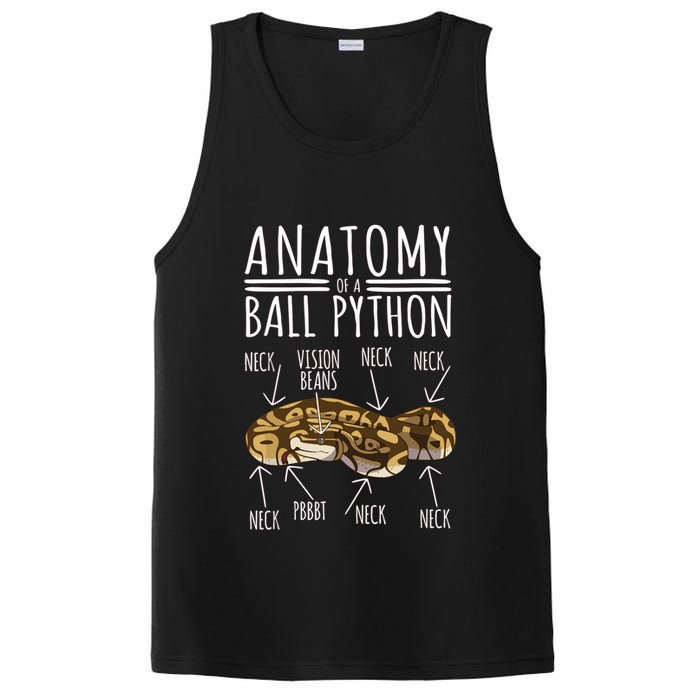 Python Snake Owner Anatomy Of A Ball Python PosiCharge Competitor Tank