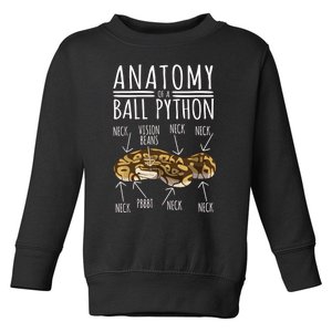 Python Snake Owner Anatomy Of A Ball Python Toddler Sweatshirt