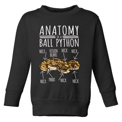 Python Snake Owner Anatomy Of A Ball Python Toddler Sweatshirt