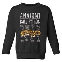 Python Snake Owner Anatomy Of A Ball Python Toddler Sweatshirt