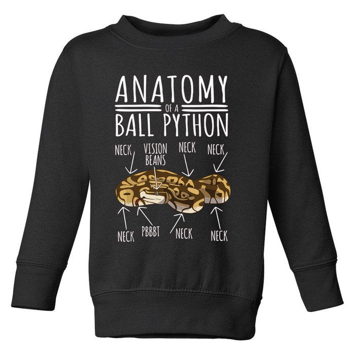 Python Snake Owner Anatomy Of A Ball Python Toddler Sweatshirt