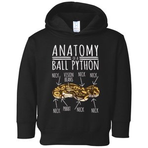 Python Snake Owner Anatomy Of A Ball Python Toddler Hoodie