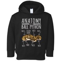 Python Snake Owner Anatomy Of A Ball Python Toddler Hoodie