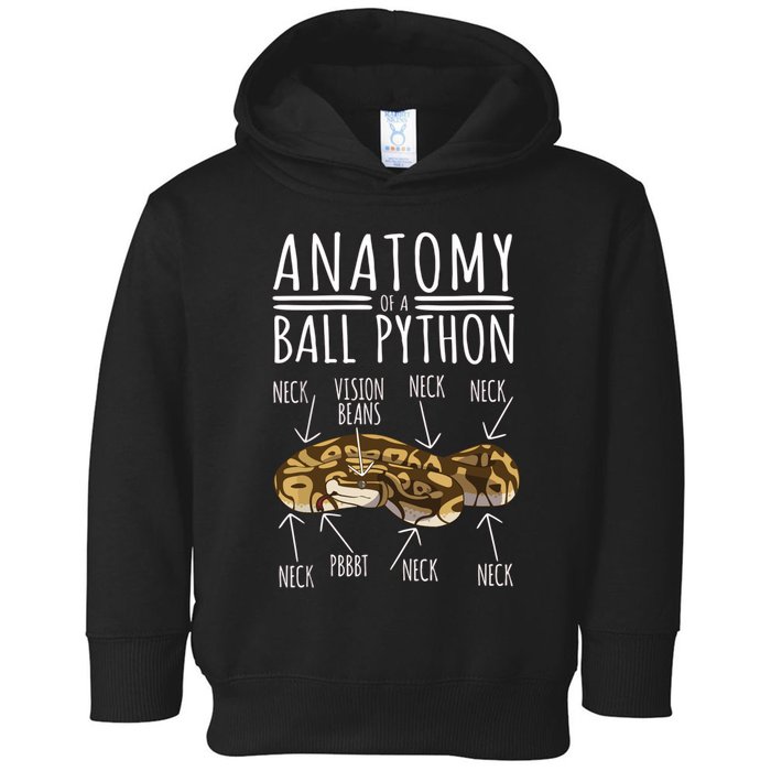 Python Snake Owner Anatomy Of A Ball Python Toddler Hoodie