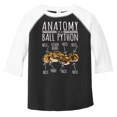 Python Snake Owner Anatomy Of A Ball Python Toddler Fine Jersey T-Shirt