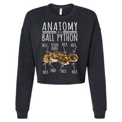 Python Snake Owner Anatomy Of A Ball Python Cropped Pullover Crew