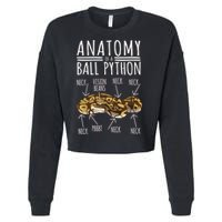 Python Snake Owner Anatomy Of A Ball Python Cropped Pullover Crew
