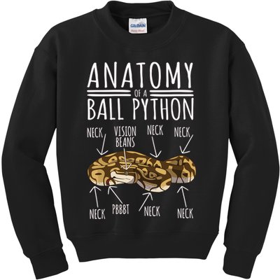Python Snake Owner Anatomy Of A Ball Python Kids Sweatshirt