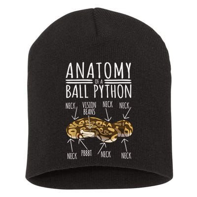 Python Snake Owner Anatomy Of A Ball Python Short Acrylic Beanie