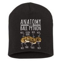 Python Snake Owner Anatomy Of A Ball Python Short Acrylic Beanie