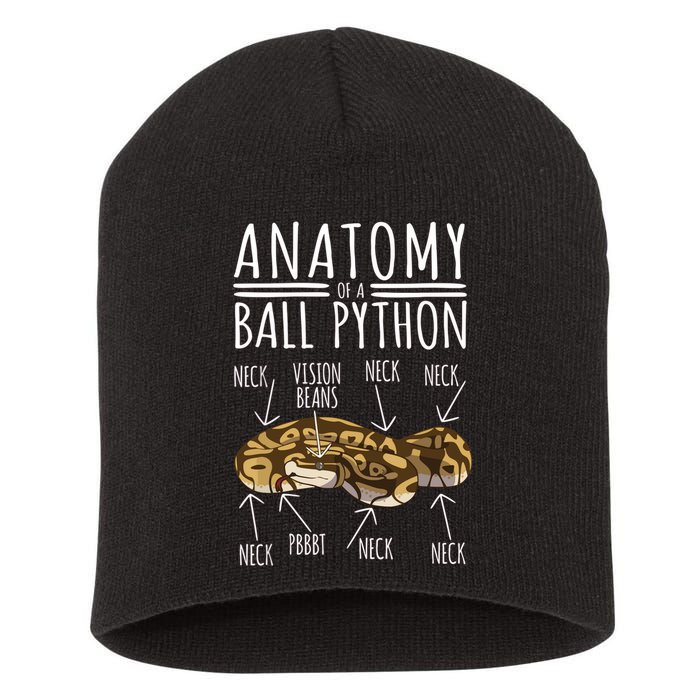 Python Snake Owner Anatomy Of A Ball Python Short Acrylic Beanie