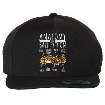 Python Snake Owner Anatomy Of A Ball Python Wool Snapback Cap
