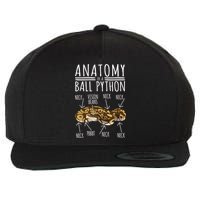 Python Snake Owner Anatomy Of A Ball Python Wool Snapback Cap