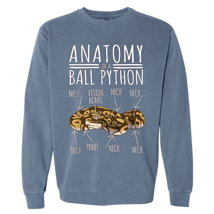 Python Snake Owner Anatomy Of A Ball Python Garment-Dyed Sweatshirt
