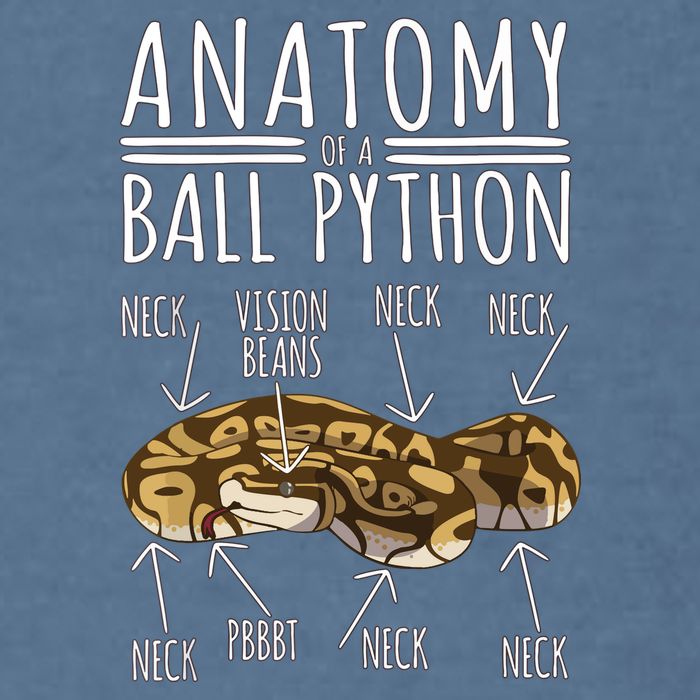 Python Snake Owner Anatomy Of A Ball Python Garment-Dyed Sweatshirt