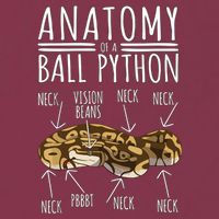 Python Snake Owner Anatomy Of A Ball Python 16oz Travel Tumbler