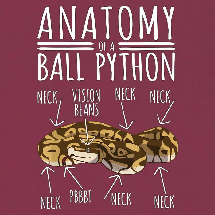 Python Snake Owner Anatomy Of A Ball Python 16oz Travel Tumbler