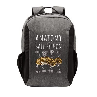 Python Snake Owner Anatomy Of A Ball Python Vector Backpack
