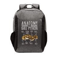 Python Snake Owner Anatomy Of A Ball Python Vector Backpack