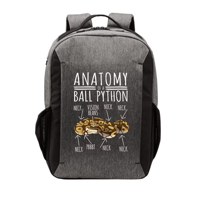 Python Snake Owner Anatomy Of A Ball Python Vector Backpack