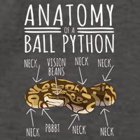 Python Snake Owner Anatomy Of A Ball Python Vector Backpack