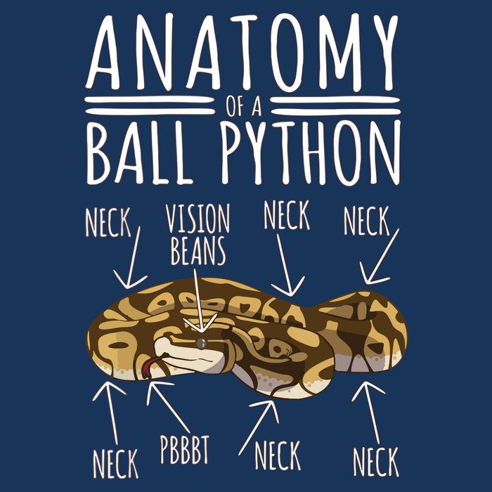 Python Snake Owner Anatomy Of A Ball Python Infant Baby Jersey Bodysuit