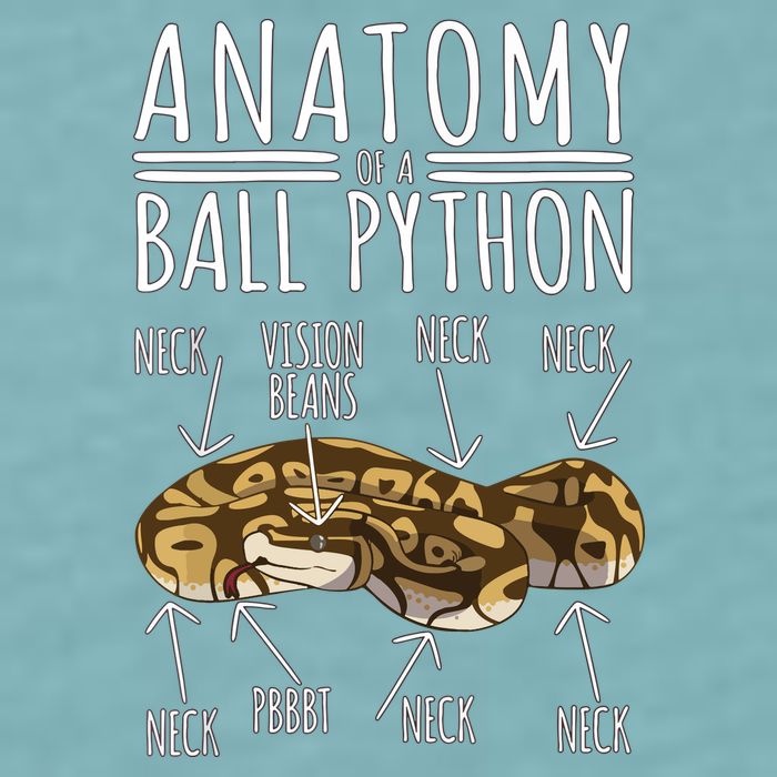 Python Snake Owner Anatomy Of A Ball Python Sueded Cloud Jersey T-Shirt