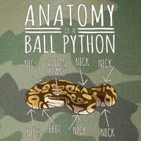 Python Snake Owner Anatomy Of A Ball Python Legacy Tie Dye Trucker Hat