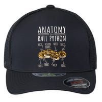 Python Snake Owner Anatomy Of A Ball Python Flexfit Unipanel Trucker Cap