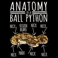Python Snake Owner Anatomy Of A Ball Python Daily Commute Backpack