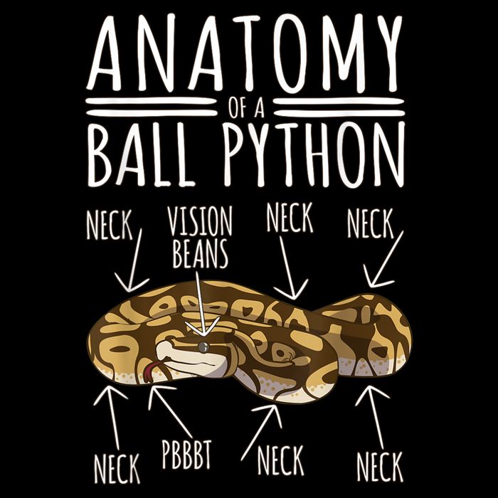 Python Snake Owner Anatomy Of A Ball Python Daily Commute Backpack