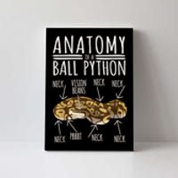 Python Snake Owner Anatomy Of A Ball Python Canvas