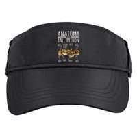 Python Snake Owner Anatomy Of A Ball Python Adult Drive Performance Visor