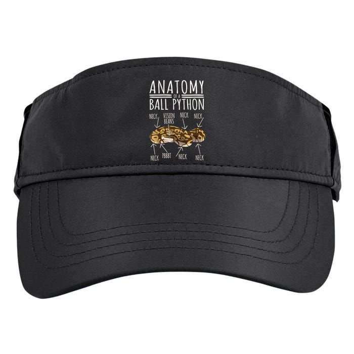 Python Snake Owner Anatomy Of A Ball Python Adult Drive Performance Visor