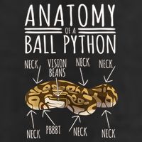 Python Snake Owner Anatomy Of A Ball Python Knit Cap Winter Beanie