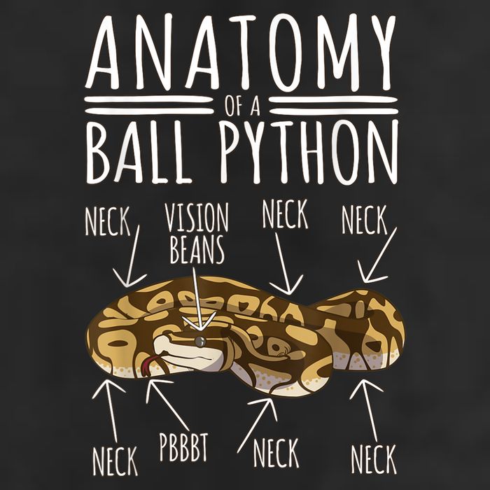 Python Snake Owner Anatomy Of A Ball Python Knit Cap Winter Beanie