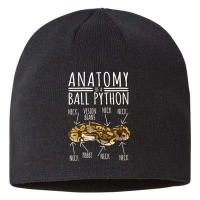 Python Snake Owner Anatomy Of A Ball Python Sustainable Beanie
