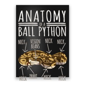 Python Snake Owner Anatomy Of A Ball Python Poster