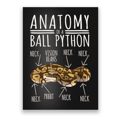 Python Snake Owner Anatomy Of A Ball Python Poster