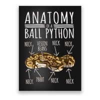 Python Snake Owner Anatomy Of A Ball Python Poster