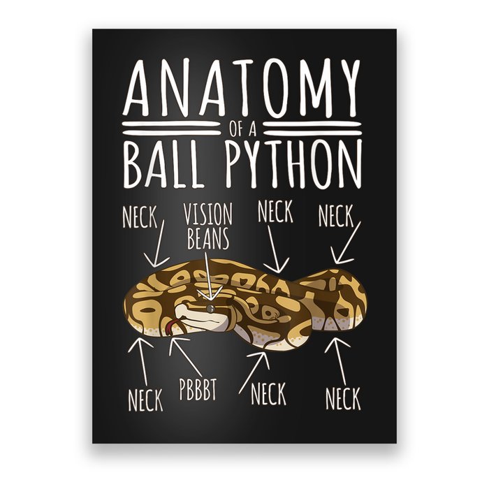 Python Snake Owner Anatomy Of A Ball Python Poster