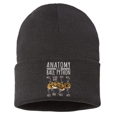 Python Snake Owner Anatomy Of A Ball Python Sustainable Knit Beanie