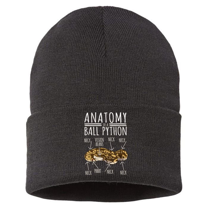 Python Snake Owner Anatomy Of A Ball Python Sustainable Knit Beanie