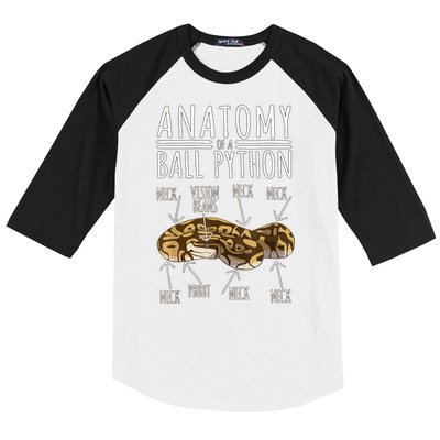 Python Snake Owner Anatomy Of A Ball Python Baseball Sleeve Shirt