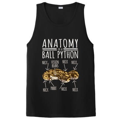 Python Snake Owner Anatomy Of A Ball Python PosiCharge Competitor Tank