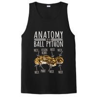 Python Snake Owner Anatomy Of A Ball Python PosiCharge Competitor Tank