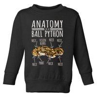 Python Snake Owner Anatomy Of A Ball Python Toddler Sweatshirt